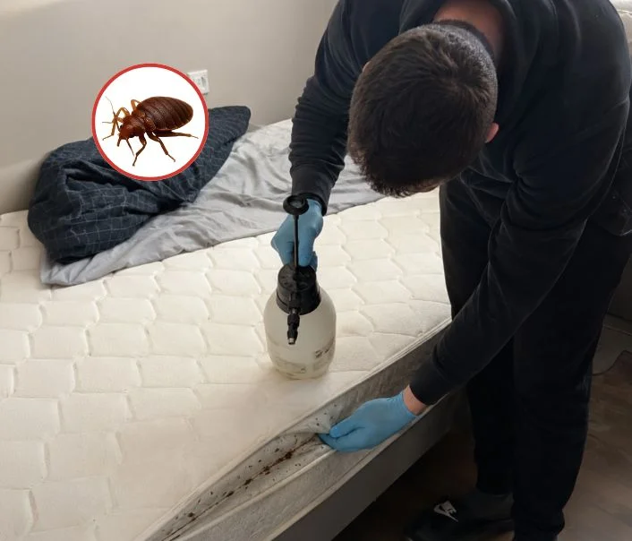 Technicien traitant un matelas contre les punaises de lit à Paris 3eme